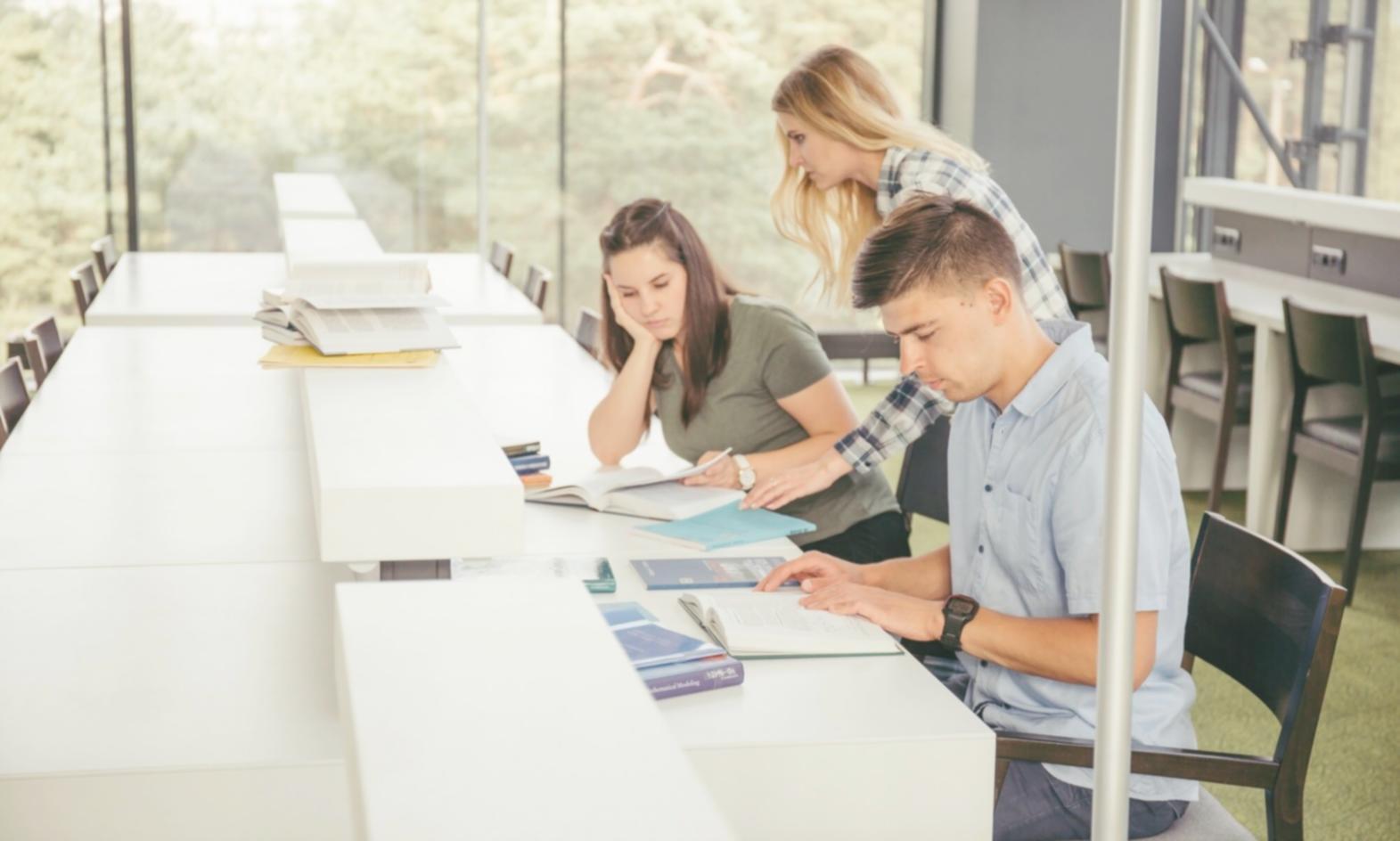 Analiză financiară practică pe documente reale